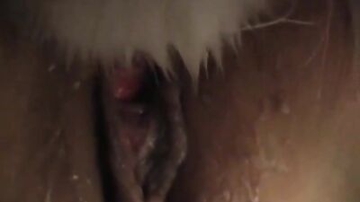 Zoo porn compilation: dog porn pet