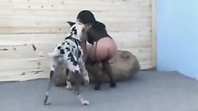 Zoo dog porn: porn denise frazier 19 fuck a dog