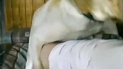 Zoo porn compilation: teen young bestiality