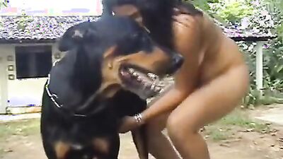 Animal zoo sex: comics dog fuck girl