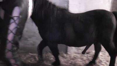 Zoo video: zoo porn pumba fuck girl