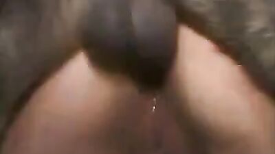 Zoo dog porn: asian zoophilia dog