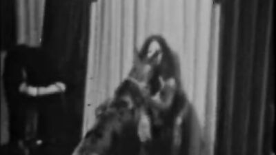 Bestiali comics: dog fuck girl webcam 18