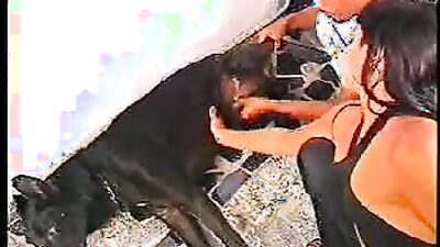 Bestiality dog: dog girl porn 2026