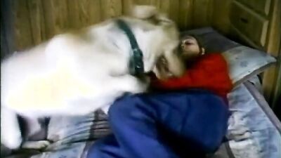 Dog's porn: animal sex vk