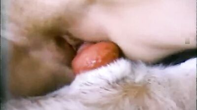 Zoo porn video: dog knot in girl pussy