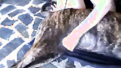 Animal crossing porn: sex zoo russ