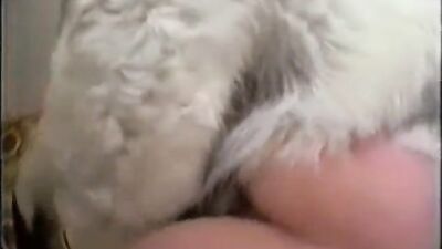 3d dog porn: mimi dog porn video