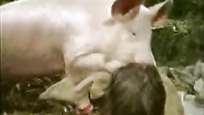 Zoo porno video: andy private porn sex dogs