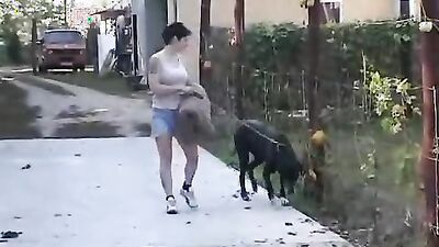 Dog get girl: xxx zoo sex