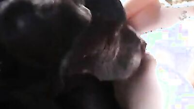 Dog get girl: xxx zoo sex