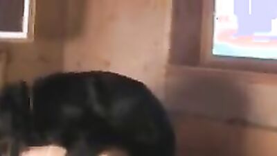Dog porn video: zoo 2 porn