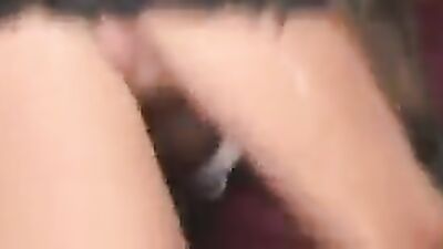 Dog porn video: zoo 2 porn