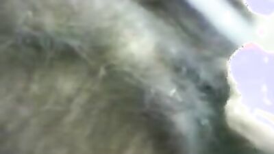 Dog's porn: zoo hentai porn new