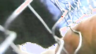 Dog's porn: zoo hentai porn new