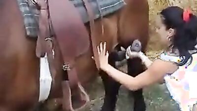 Zoo horse porn: zoophilia porn gif
