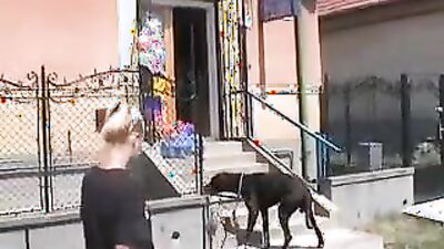 Zoo fucking porn: dog creampie zoo porn