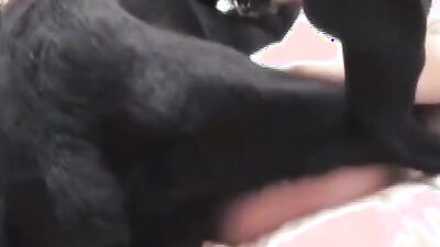 Dog sex porn: porn dog inside