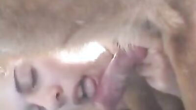 Animal sex video: art of zoo rus porn