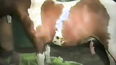 Dog fuck porn: compilation art of zoo