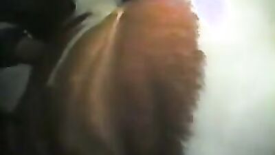 Dog fuck porn: compilation art of zoo