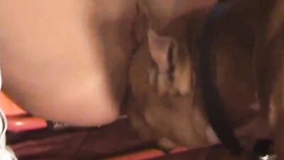 Fucking dogging porn: bestiality porn video