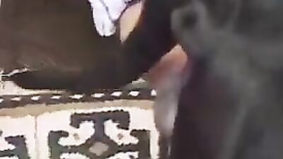 Mimi dog porn: sex xxx zoo 2026