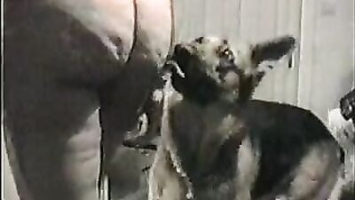 Dog porn: retro dog sex