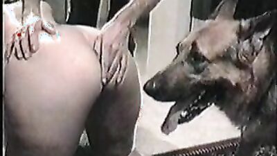 Dog porn: retro dog sex