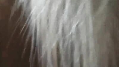 Girl cat dog: xxx bestiality simulation