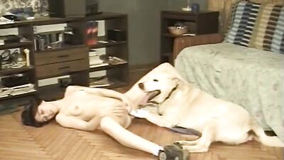 Dog pussy girls: squid dog porn