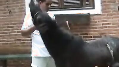 Russian zoo porn: art of zoo com
