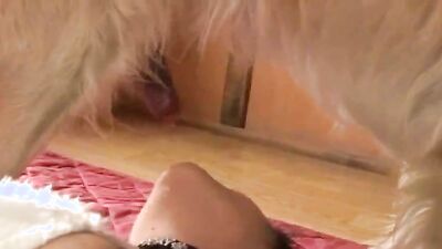 Mimi dog girl: furry dog sex