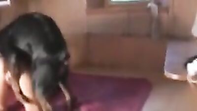 Dog sex video: bestiality breasts