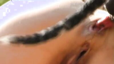 Dog girl: dog fuck girl porno