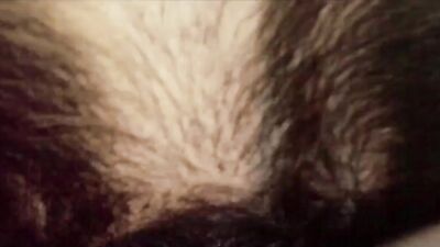 2 dog girl: sex dog porn anal
