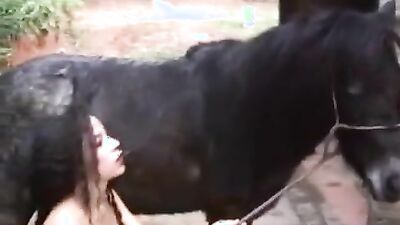 Girl playing dog: sex dogs porn 3d