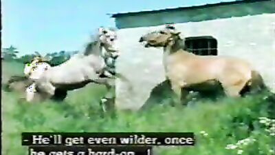 Girl dog video: zoo sex licking