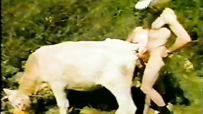 Girl dog video: zoo sex licking