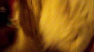Zoo dog sex: girl knot big dog porno summer