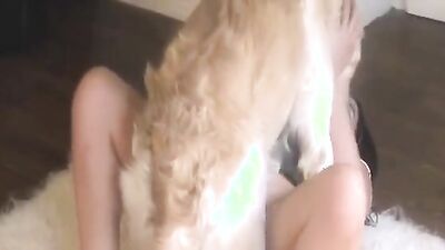 Dog licking girl: free zoo porn horse