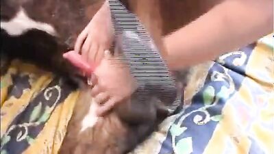 Animal crossing porn: zoosex art of zoo