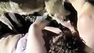 Zoo porn: sex stories zoophilia