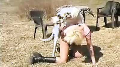 Dog get girl: horse fuck woman zoo porn