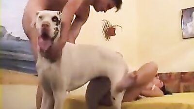 Bestiality video: dog fuck girl homemade