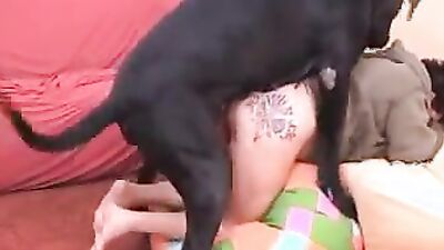 Sex animal's: a anal animal sex porno dogs girl