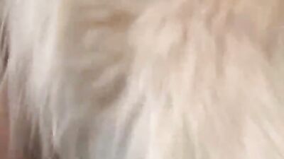 Dog porn: porn male with animals
