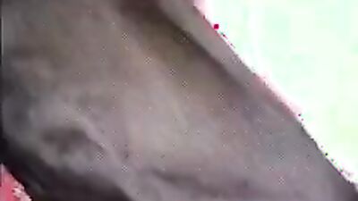Mimi dog girl: bestiality zoo porno silesto