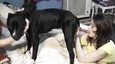 3d bestiality: big dogs sex girl