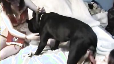 3d bestiality: big dogs sex girl